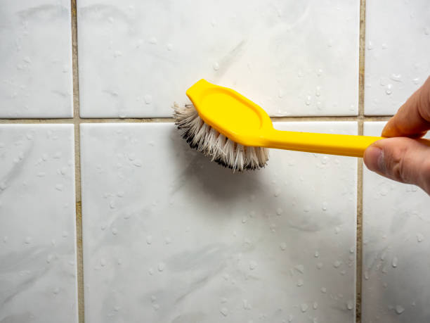 Best Residential Mold Remediation in Albert Lea, MN