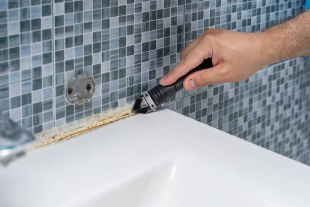 Best Post-Remediation Services in Albert Lea, MN